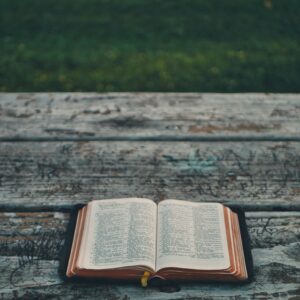 Die Bibel – Gottes Wort in Menschen Wort – was bedeutet das eigentlich? Und welche Relevanz hat das für mein Leben?