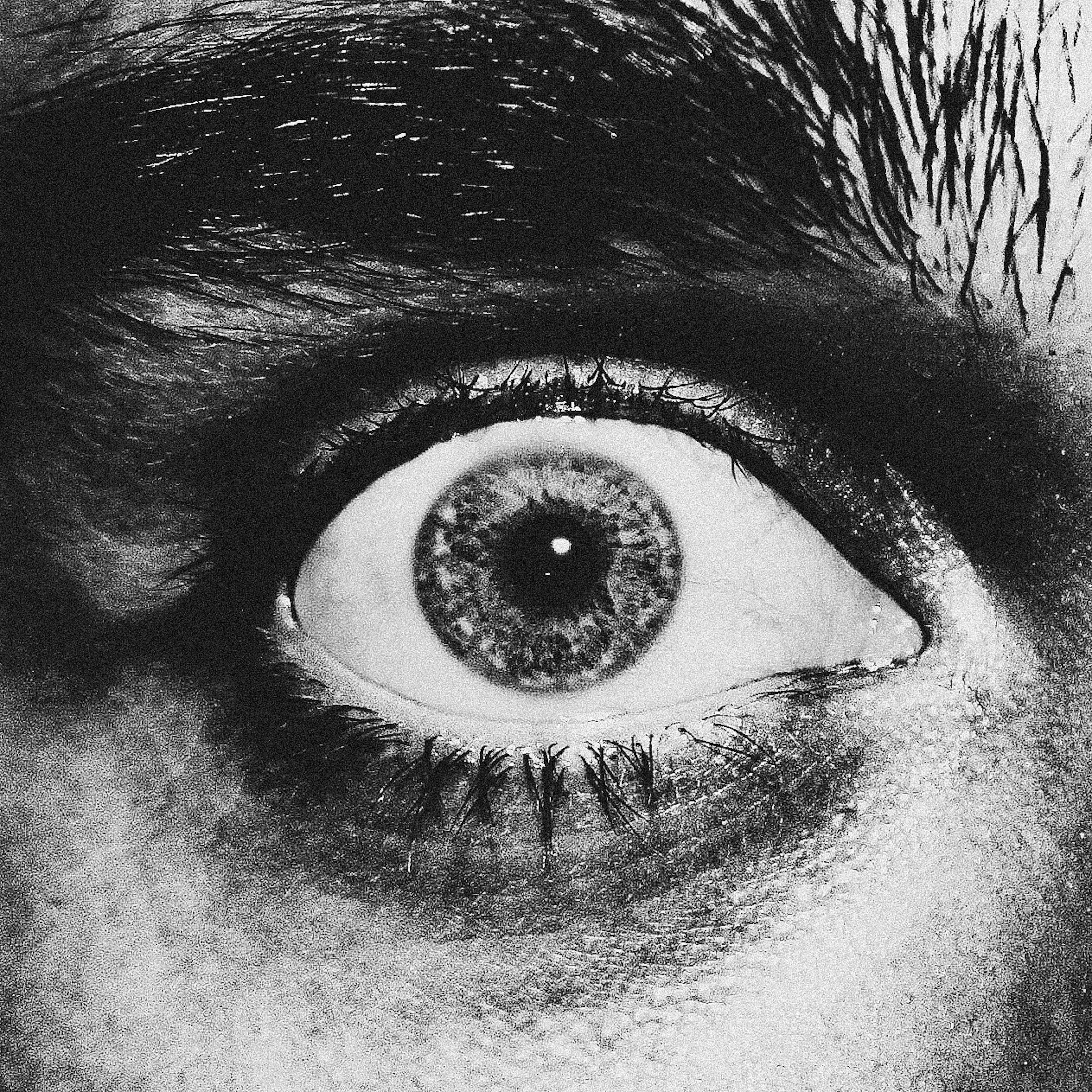 Auf Dich sind unsere Augen gerichtet!